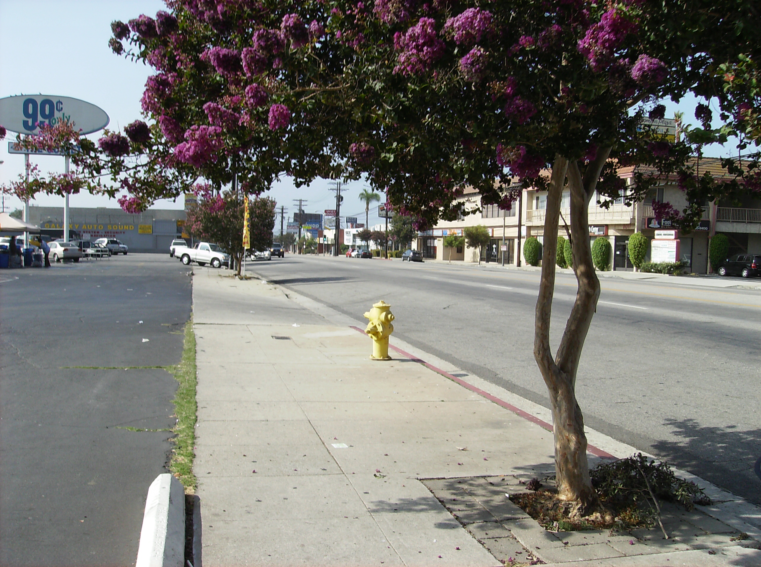 Reseda Blvd  - CSUN's neighborhood